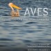 AVES – expozitie foto Dan Dinu si Cristian Goga