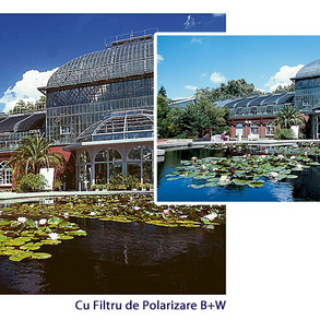 Filtrul de polarizare B+W de la Schneider