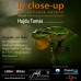 In Close-Up din Culisele Naturii