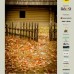 Concurs foto: Oraşul în haiku-uri ilustrate!