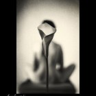 Expozitia “Despre nud”, de Anca Cernoschi