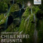 Cheile Nerei – Beusnita: un taram guvernat de ape al Romaniei Salbatice