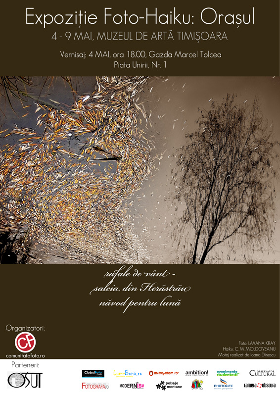 Expozitie foto-haiku la Timisoara in cadrul StudentFest