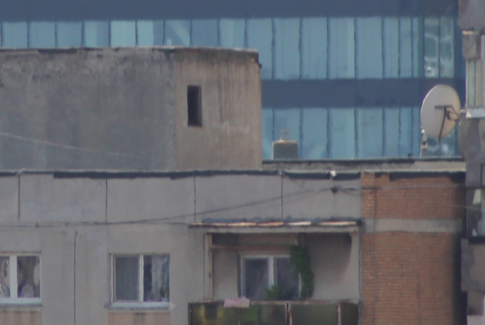 day_70-300300-crop100