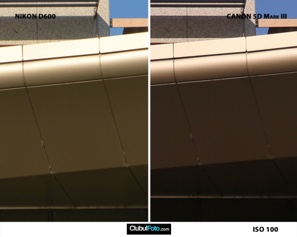Nikon D600 vs. Canon 5D III iso-100