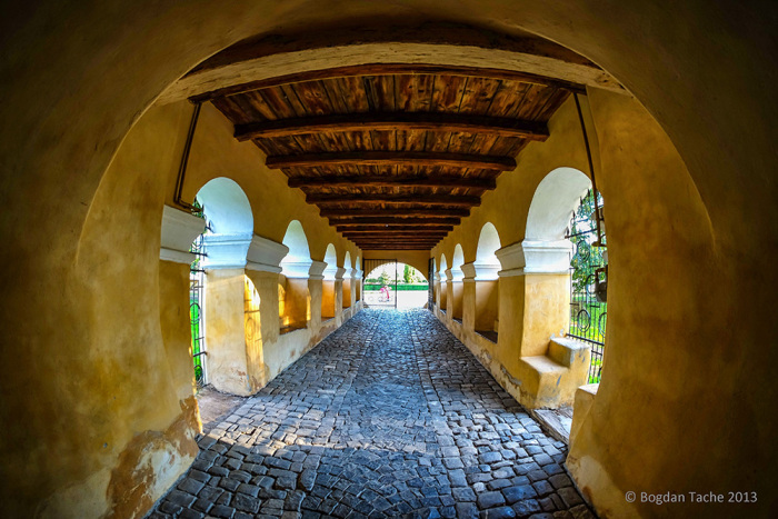 fuji-x-e1-bogdan-tache-3