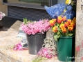 dscf0206