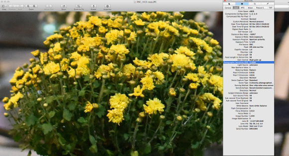 nikon-d750-iso-12800-crop