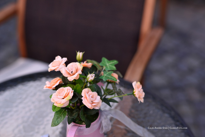 nikon-d750-17