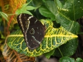 100-p1010038