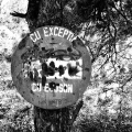 P9050185