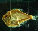 p1090317