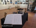 salonul-foto-2012-6
