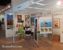 salonul-foto-2012-8