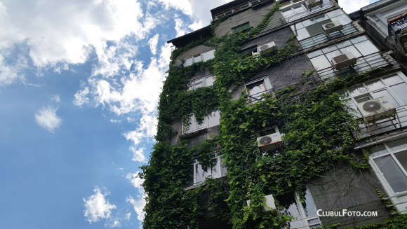 20140603_153619