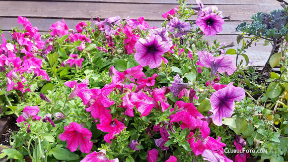 20140603_160513