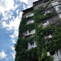 20140603_153619