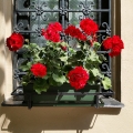20140603_155758
