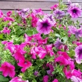 20140603_160513