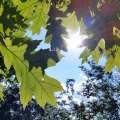 20140603_163554