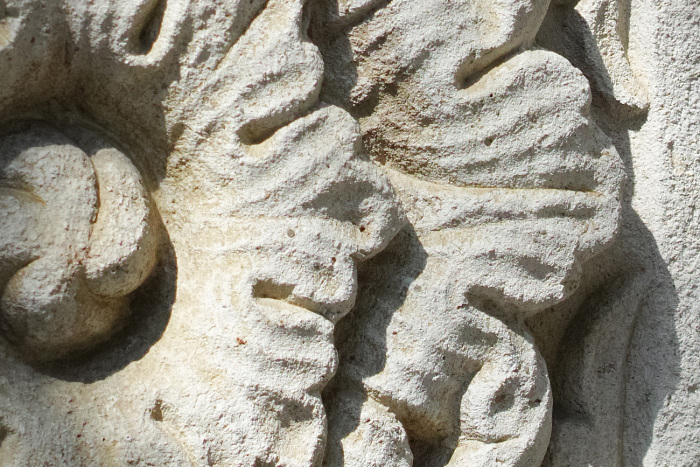 crop-4
