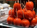 dsc00184