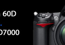 Canon 60D vs. Nikon D7000