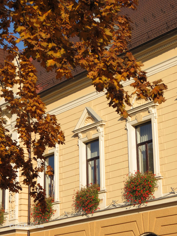 Culorile toamnei, cu Canon SX40 HS