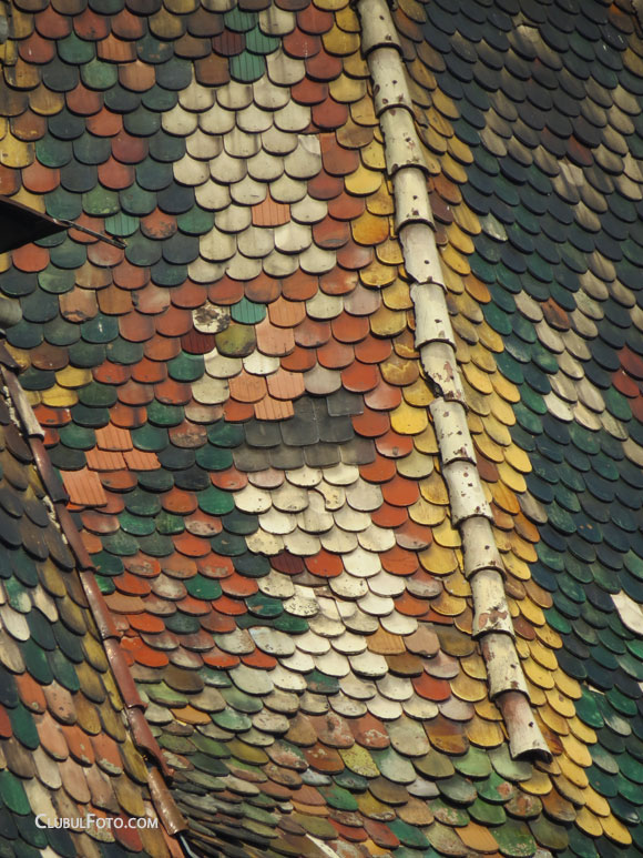 Cu zoom 35X (echivalent al unei distante focale de 800mm)