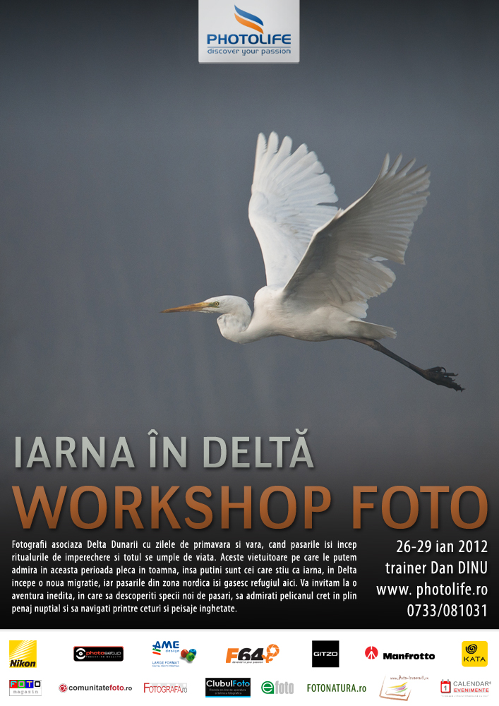 Iarna in Delta Iarna in Delta