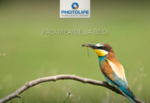 Tura foto aniversara