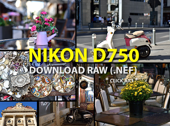 Nikon D750 download NEF