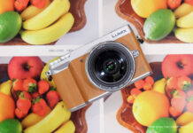 Panasonic GX80