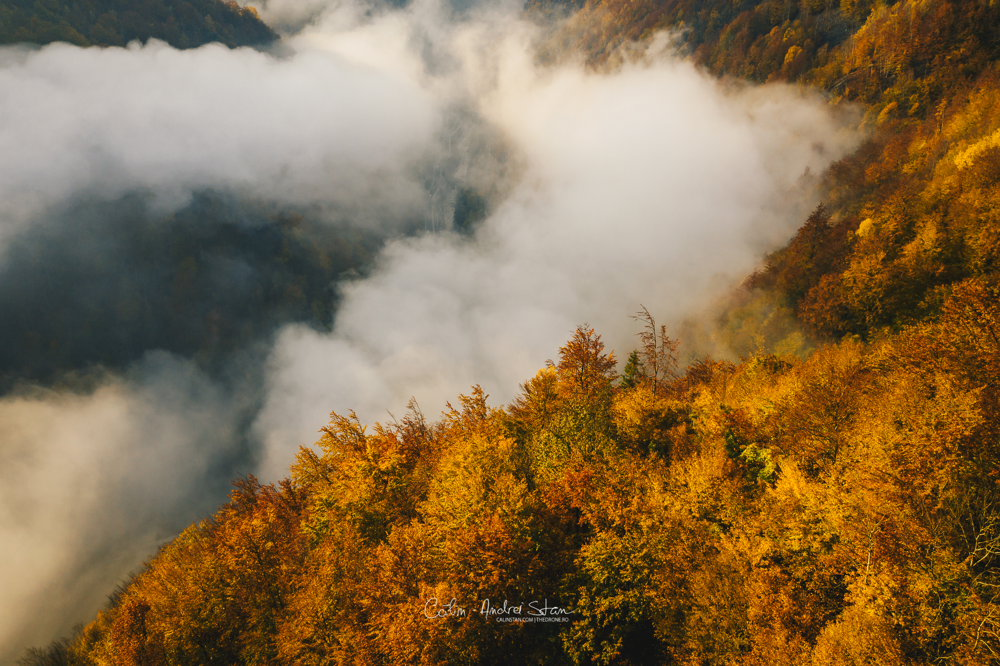 DJI_0963