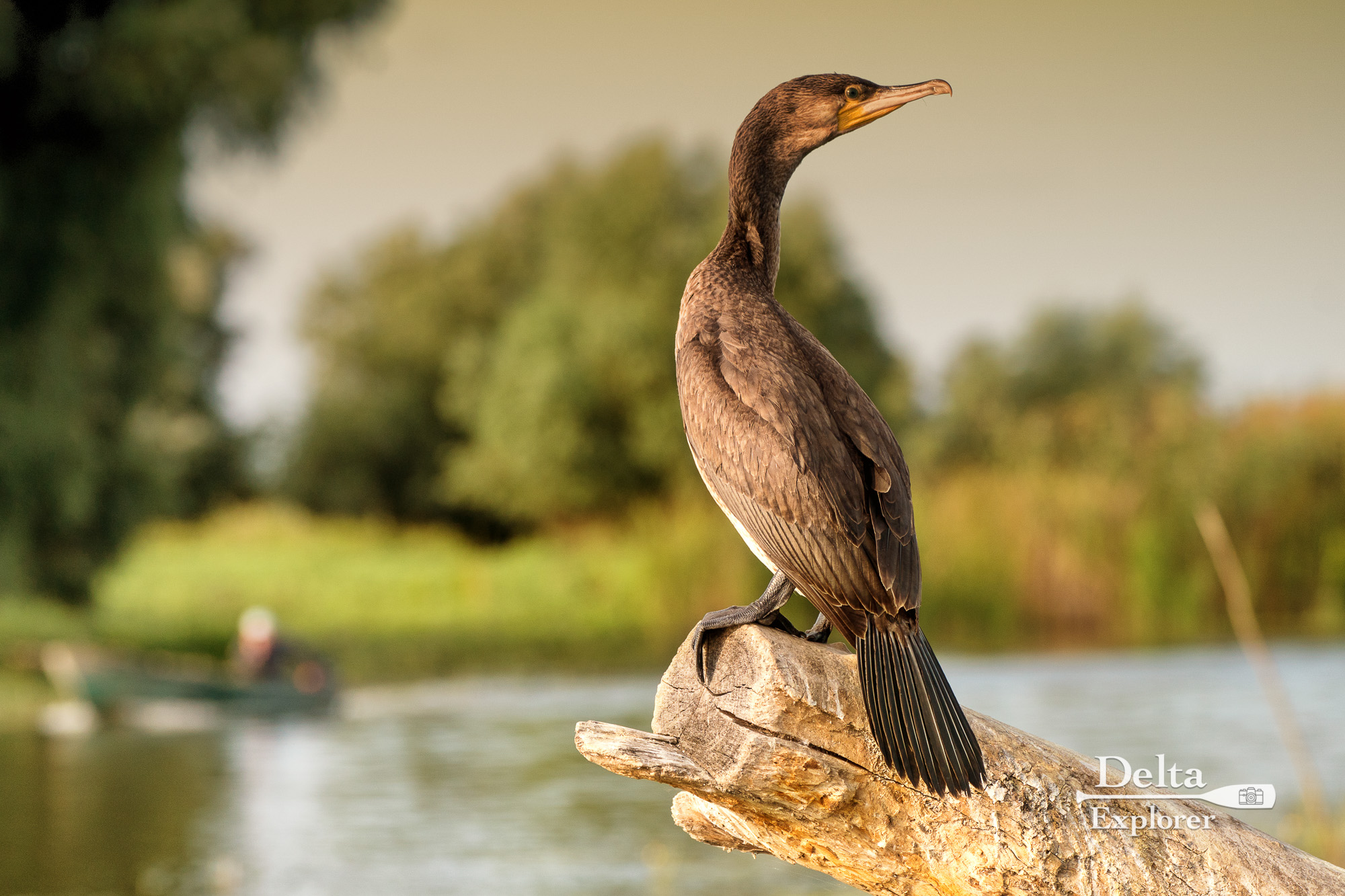 Delta-Explorer-07232-Edit-2